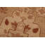 Tapis brun clair en laine noué à la main 10 pi 2 po x 13 pi 8 po Dorr Oriental