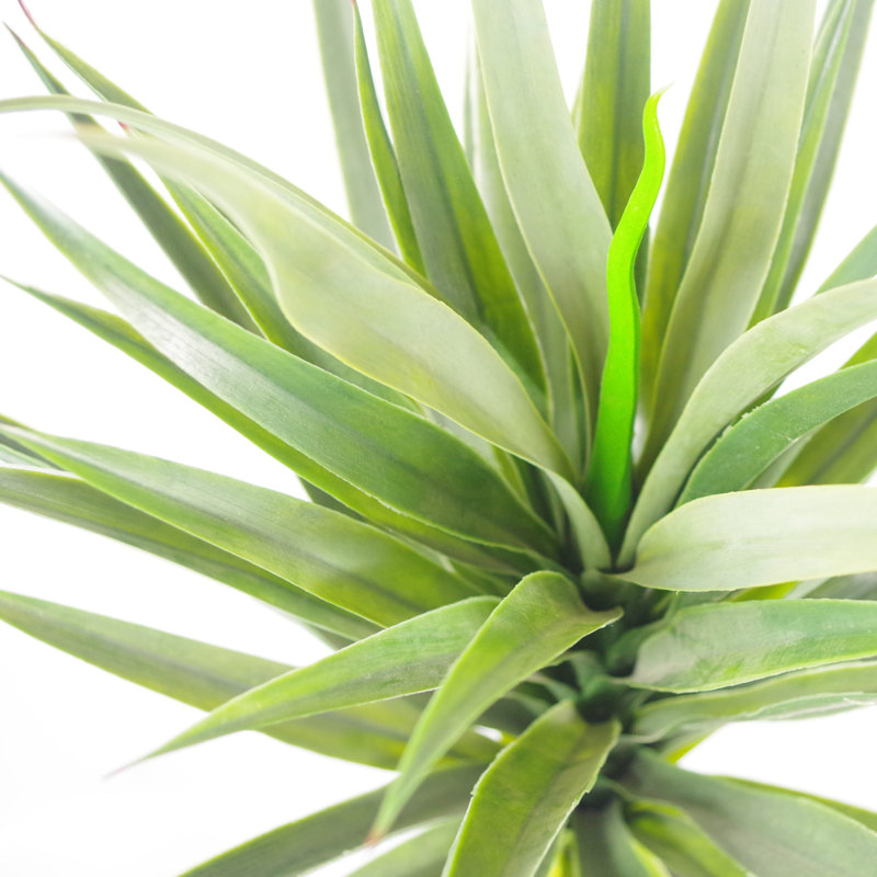 Anivea 90cm Faux Yucca Tree in Pot