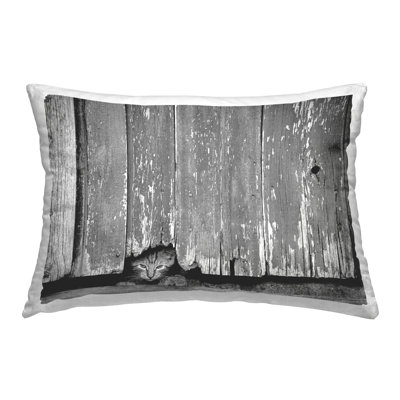  Polyester Throw Pillow