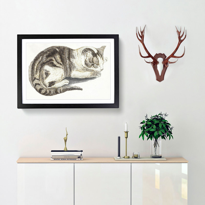 Cat by Johan Teyler - Framed Print, 36cm H x 48cm W x 2cm D, Black Framed