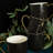 Stone Lain Florian 16-Piece Dinnerware Set Porcelain-50980823