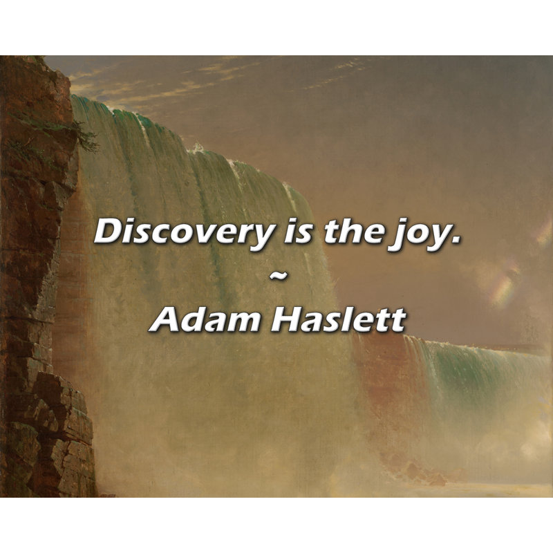 Adam Haslett Quote: Discovery is the joy.