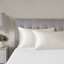 Taie d'oreiller standard Madison Park Silk Ivory 100 % mûrier, pièce unique-186036608-212709639