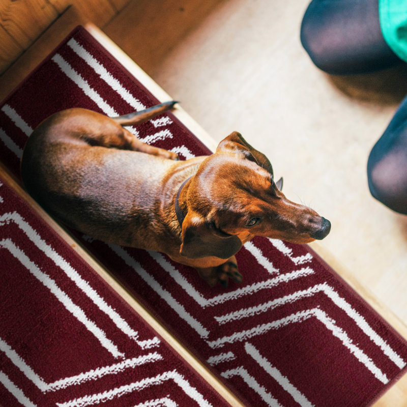 Tapis d'escalier Marlie, Rouge
