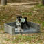 Lit pour chien Seasonal PE-302443368-302443346