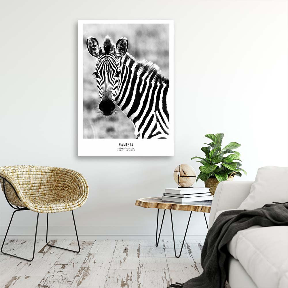 Leinwandbild Zebra Animals Nature