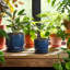 Modern Textured Ceramic Planter with Saucer-1936006861-1936006851