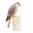 Anberlyn Animals Figurines & Sculptures