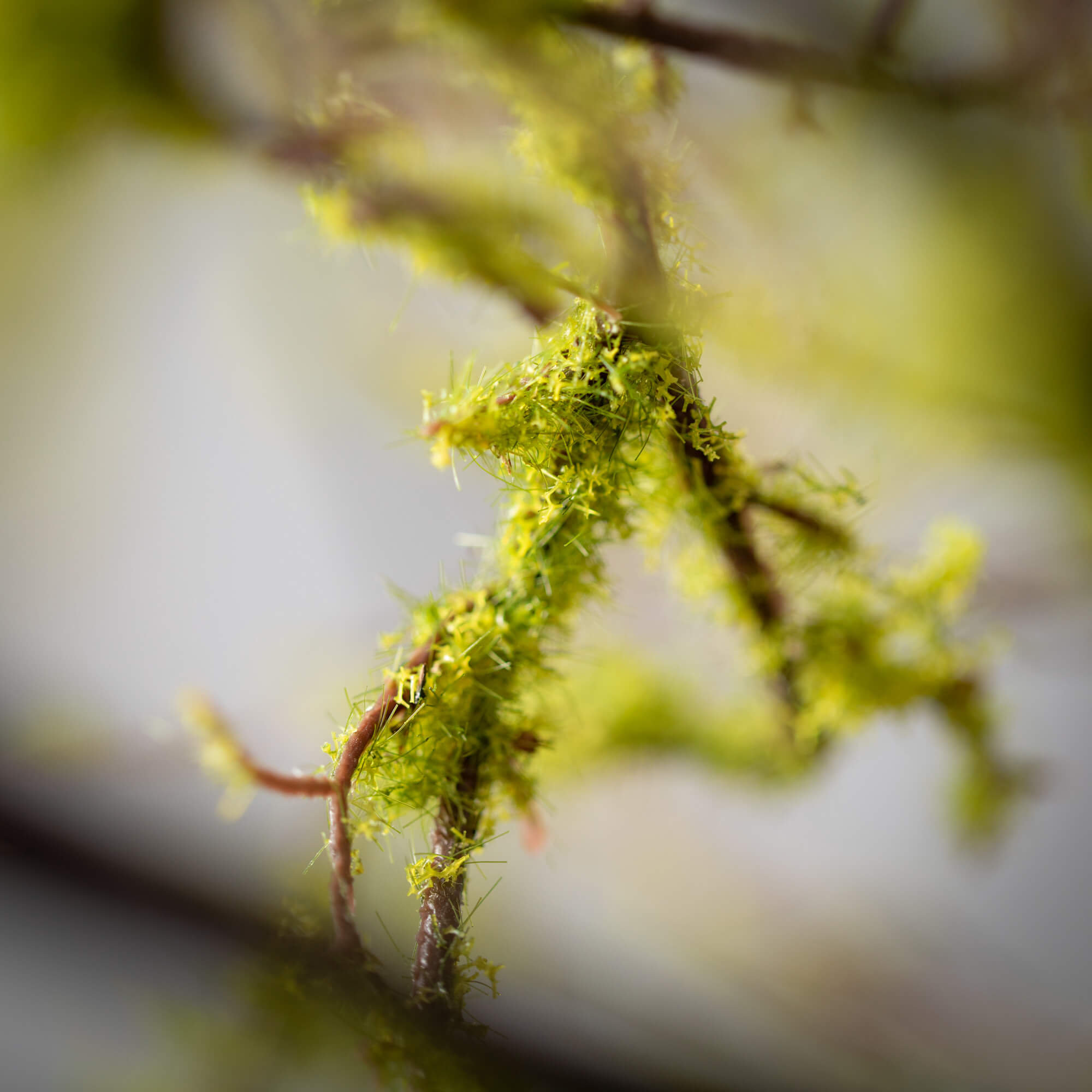 42'' Faux Moss Branch