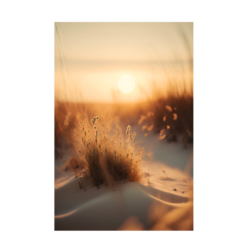Treechild Sunset At The Beach Canvas Art, H 19 po x l 12 po x P 2 po