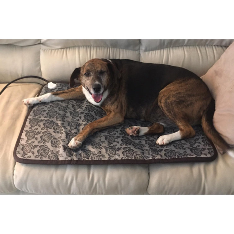 Waterproof Pet Electric Heating Pad Dog Cat Carpet Warming Mat with Chew Resistant Steel Cord Tucker Murphy Pet Size: 1 H x 17.2 W x 17.2 D
