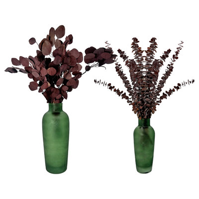 Paire d'arrangements floraux d'eucalyptus préservés dans un vase en verre