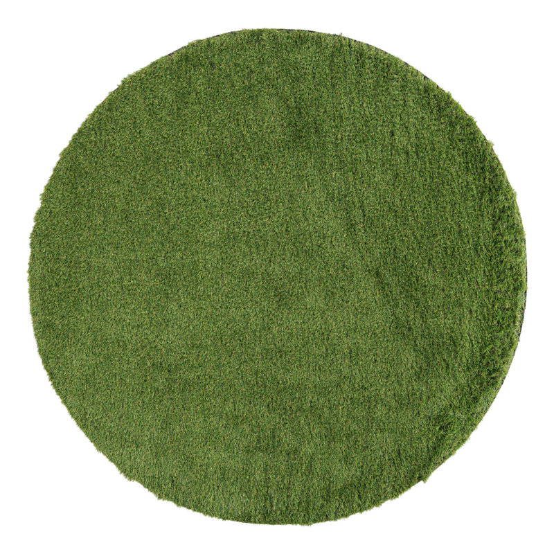 Tapis intérieur / extérieur Cathlyn, Rond 6 pi 1 po