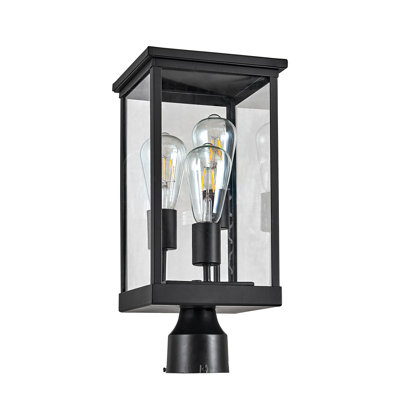 Lantern Head