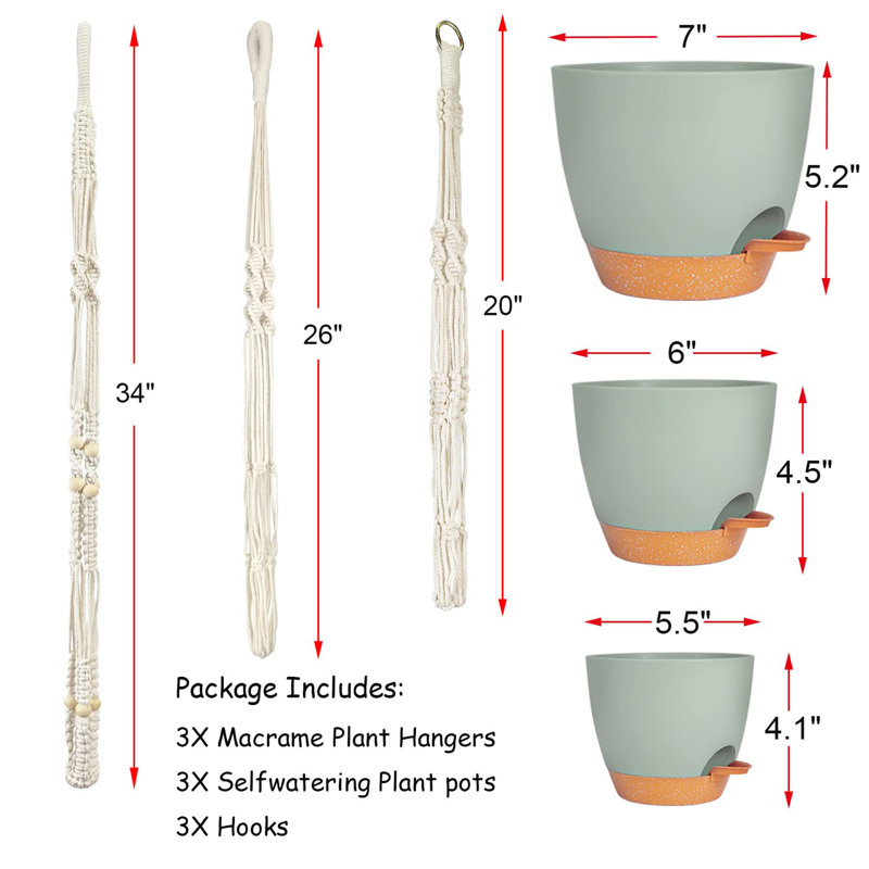 Cintres à plantes avec pots et soucoupes, Vert