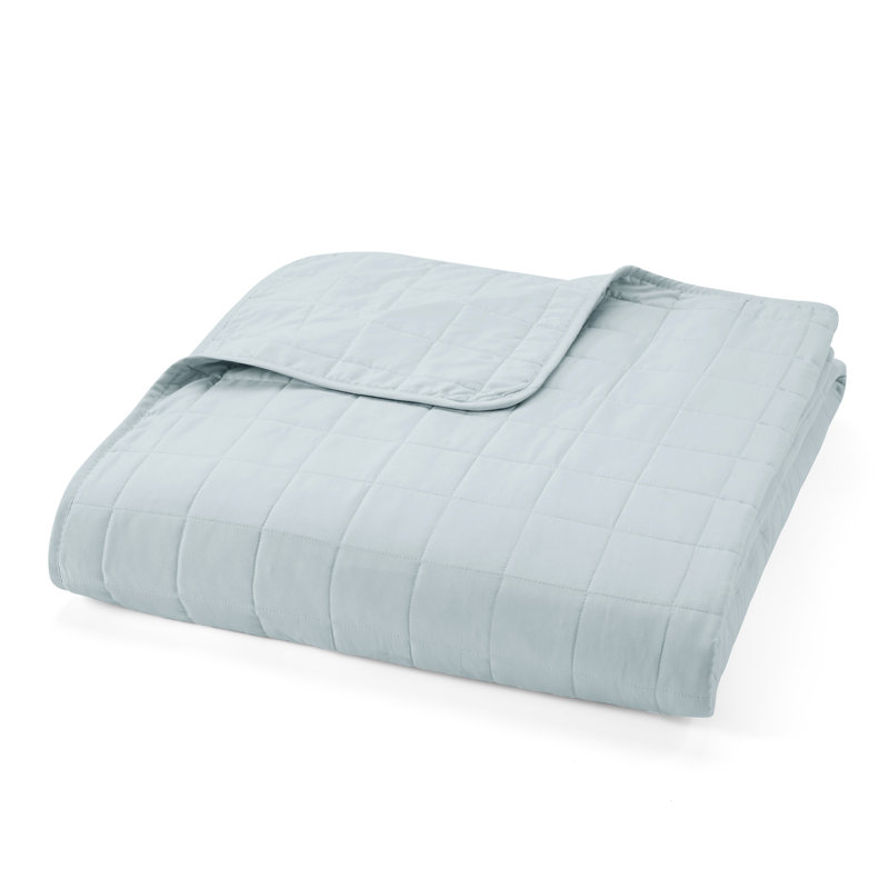 Pale Blue King Microfiber Quilted Coverlet Set