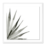 Agave II Print by Jess Engle
