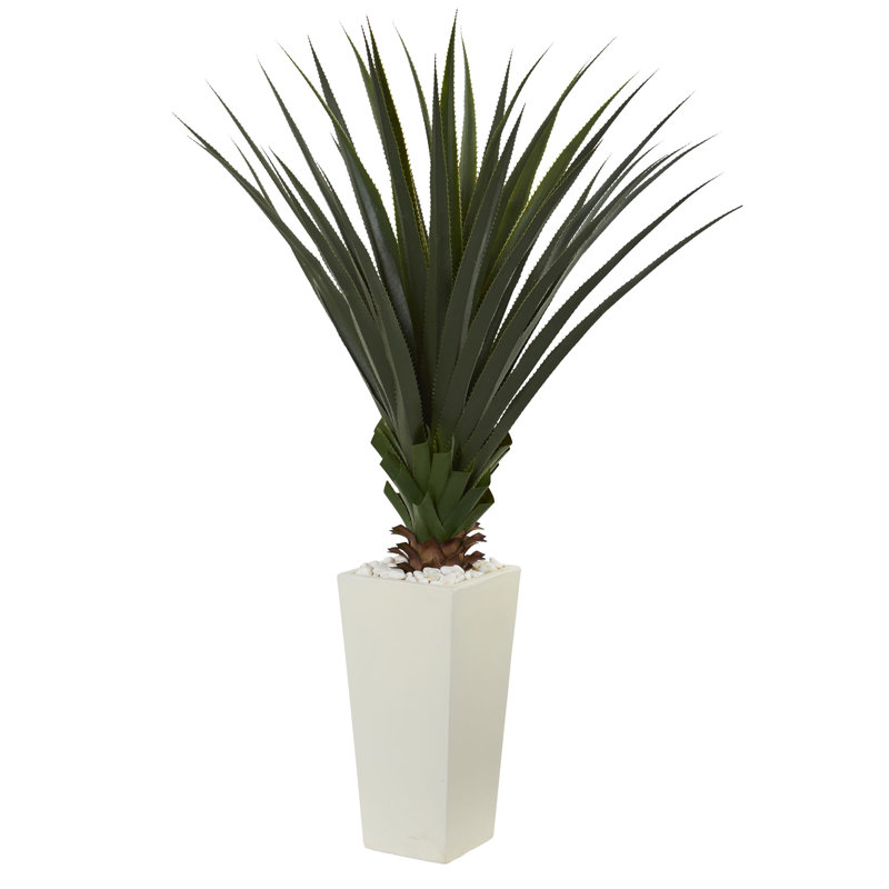 40" spiky agave ficus plante en tour