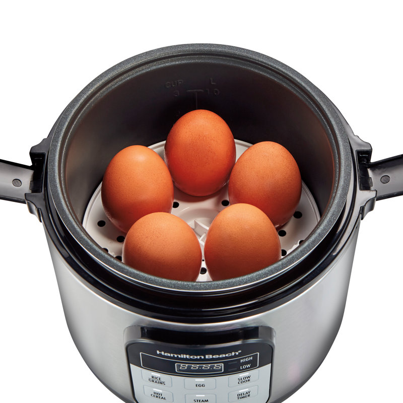 Hamilton Beach® Digital Programmable Compact Multi-Cooker with Slow Hard-Boiled Egg, Rice and Hot Cereal Functions, Egg/Steam Tray and Rice Paddle