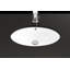 22.2'' L Bathroom Sink