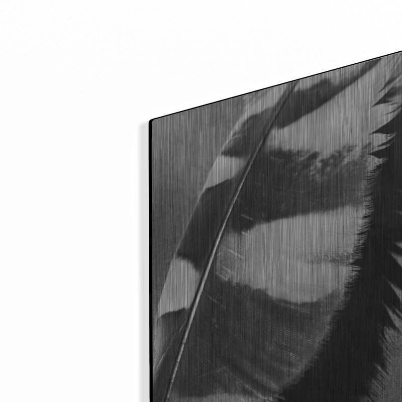 «Feather Shadow I» par Debra Van Swearingen, H 16 po x l 12 po
