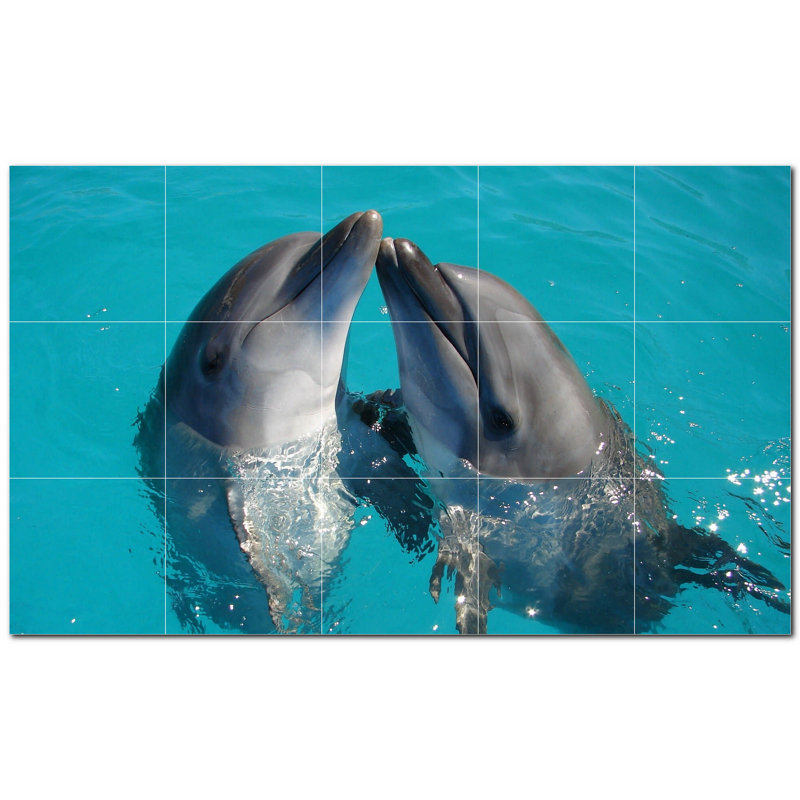 Dauphin photo 12 x 12