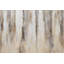 Silver Antre - Wrapped Canvas Painting
