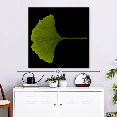 Ginkgo Leaf Close Up