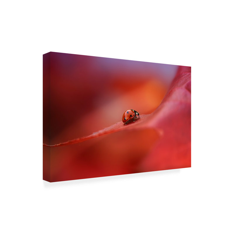 Art sur toile Ellen Van Deelen, H 22 po x l 32 po