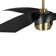 Burniece 3 - Blade LED Propeller Ceiling Fan with Remote Control and Light Kit Included