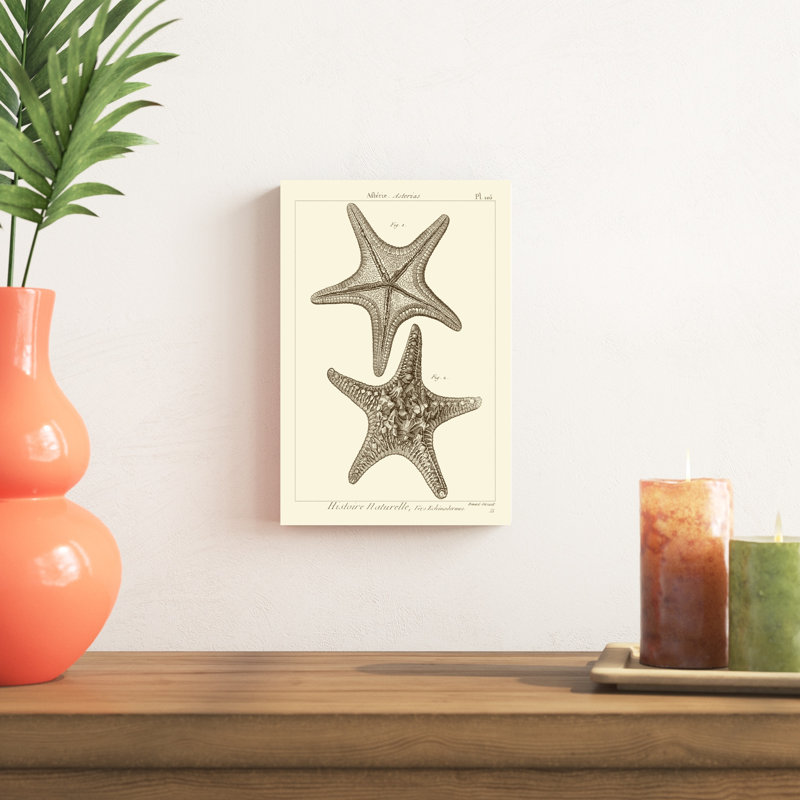 «Striking Starfish II», impression sur toile, H 12 po x l 8 po