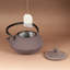 Creative Home Solid Colour Teapot-14142701
