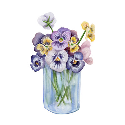 «Pansies» par Leah Tedesco sur