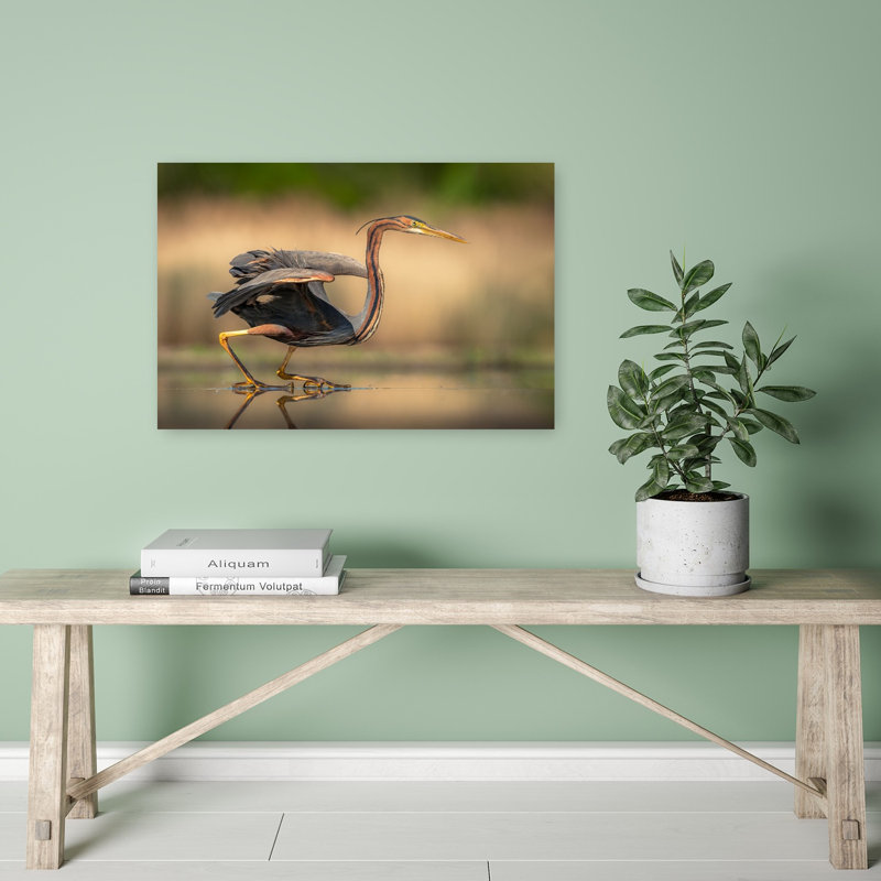 Purple Heron Stalking Contemporary Bird Wall Art Print 1 Piece Wrapped Canvas Wall Art, 40.64cm H x 60.96cm W