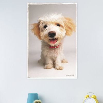 Animals Paper Print