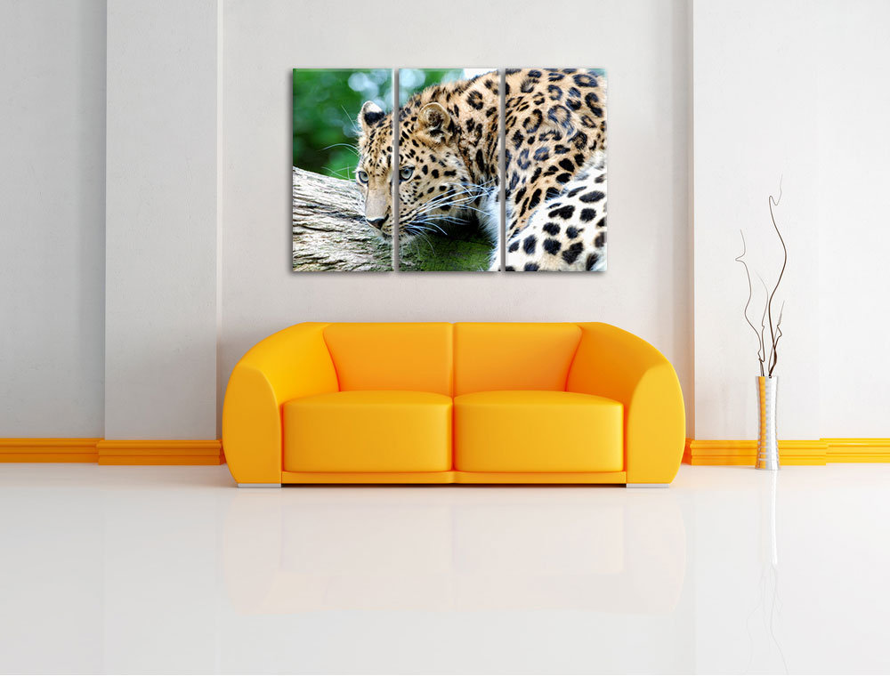 3-tlg. Leinwandbilder-Set „Aufmerksamer Leopard auf Baumstamm“, Fotodruck