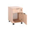Roller Cabinet