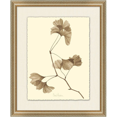 Ginkgo Print
