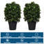 Ensemble de 2 buis artificiels en pot
