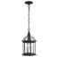 Lanterne suspendue d'extérieur à 1 ampoule H 13,5 po Roscoe-1381454153