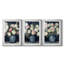 FLORAL Series DCxx - Impression encadrée sur mesure de qualité supérieure - 3 pièces-1972634052-1972634053