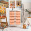 10 Drawer Storage Drawer