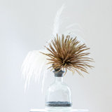 Pampas Handmade Decorative Bottles