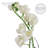 Faux Silk Orchid Arrangement in Vase-64581337