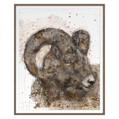 Bighorn Sheep 2 Print by Maeve Harris