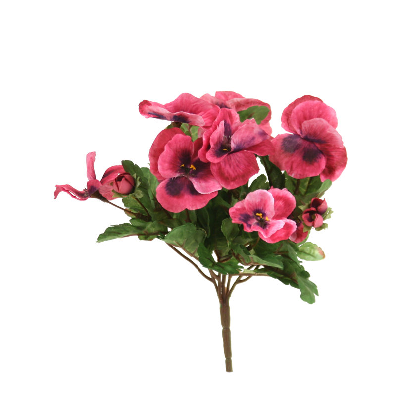 PANSY BUSH X 5 W/9 FLWRS
