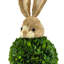 Véritable décor de lapin cyprès et buis préservé (ensemble de 2) pour Pâques et le printemps