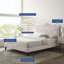 Grand lit plateforme en velours Clara Performance de Modway-771858869