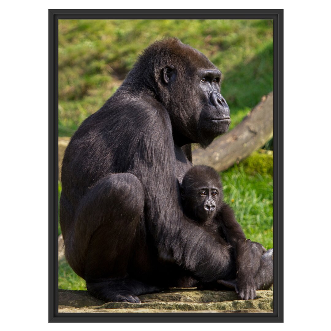 Gerahmtes Wandbild Liebevolle Gorillafamilie