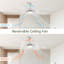 Ventilateur de plafond moderne de 66 pouces avec lumière à DEL à intensité variable, 8 pales ABS, moteur à courant continu réversible à télécommande pour le bureau à domicile-1024106508-1024106507